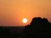 IMG_0468