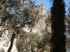 PICT0081