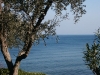 PICT0082