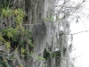 Haitises-6