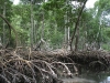 Haitises-7