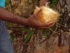 Haitises-9