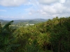 JeepSafari-4
