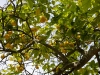20100507-Sicile-Syracuse-23