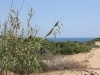 20100509-Sicile-Vendicari-2