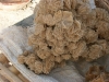 51. Rose des sables - Chott Ell Djerid
