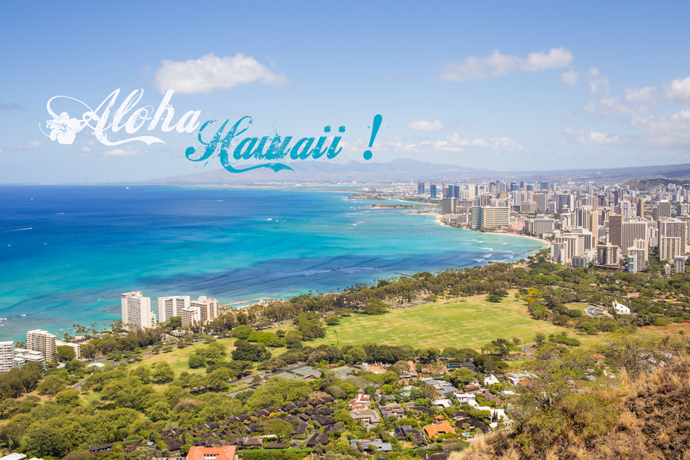 Aloha Hawaii !!
