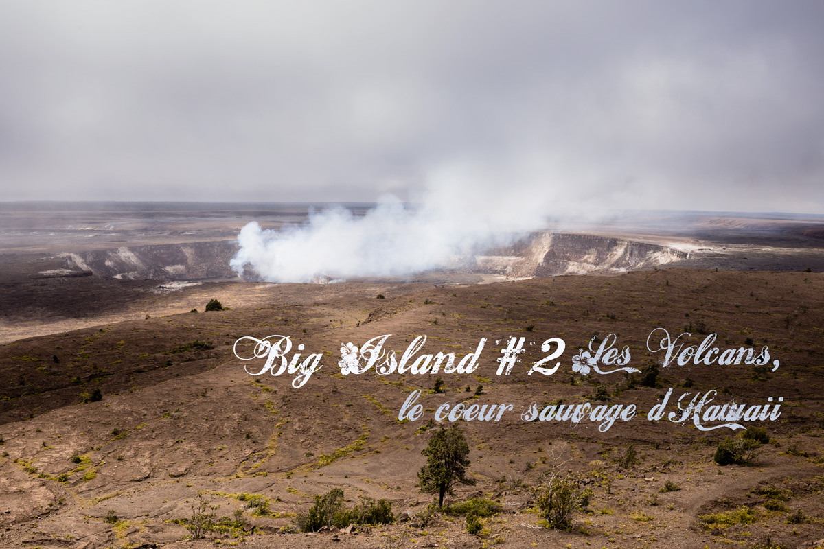 Big Island #2 Les volcans, le coeur sauvage d’Hawaii