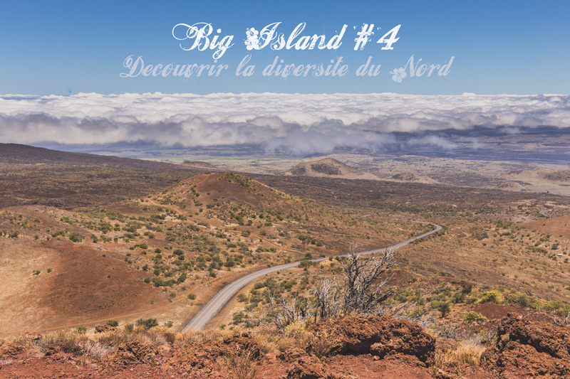 Big Island #4 Découvrir la diversité des paysages du Nord