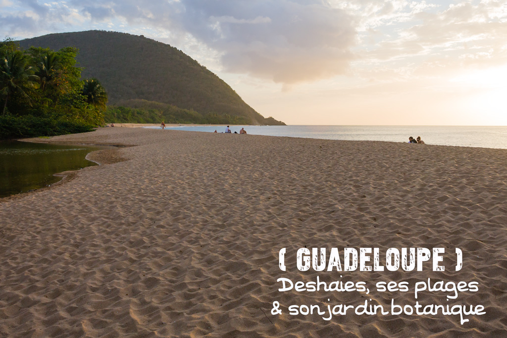 Le Jardin Botanique & les plages de Deshaies