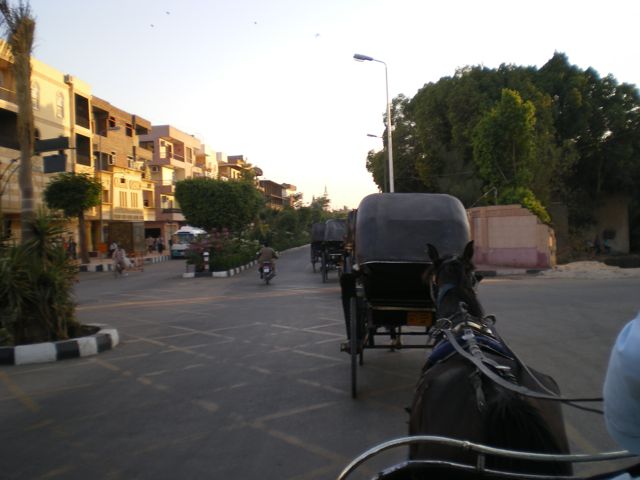 Jour 3 : Balade en calèche et navigation de nuit