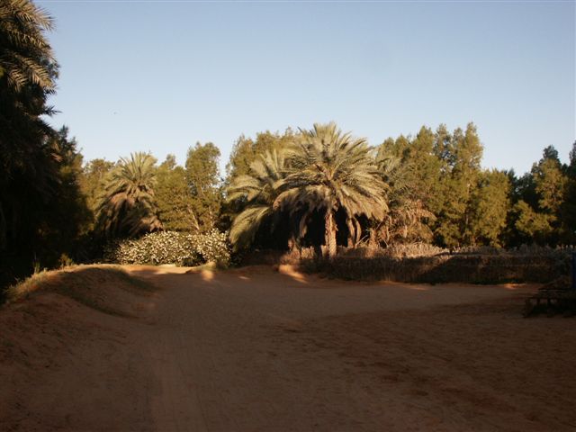 Jour 5 : De Ksar Ghilane à Douz