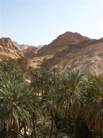 Jour 6 : De Chebika à Tamerza