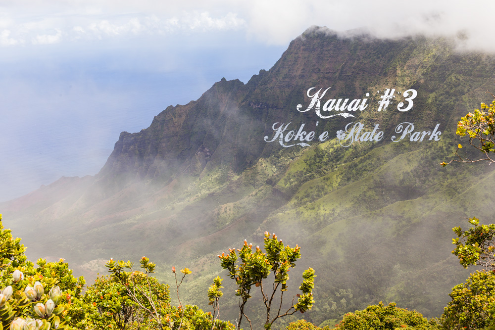 ﻿Kauai #3 Koke’e State Park & Pihea Trail