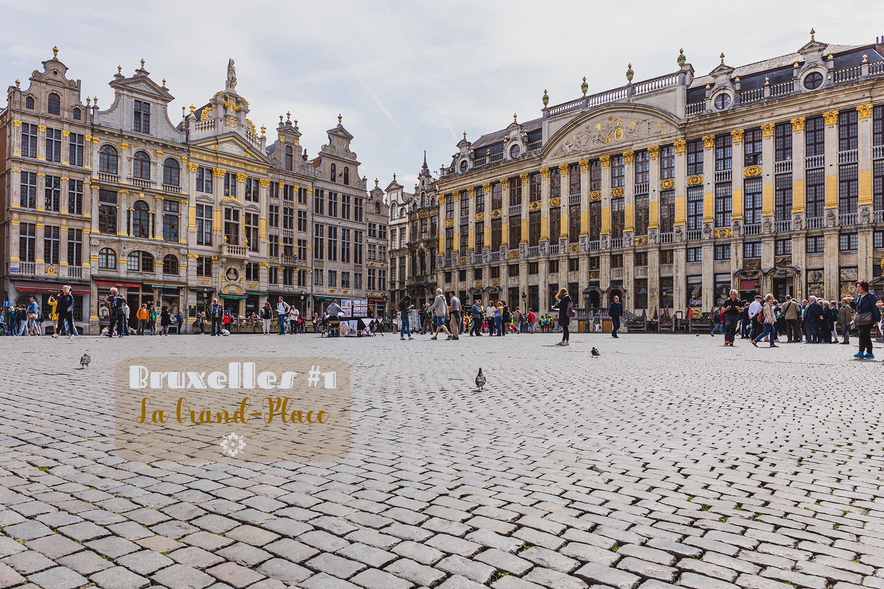 Bruxelles #1 La Grand-Place