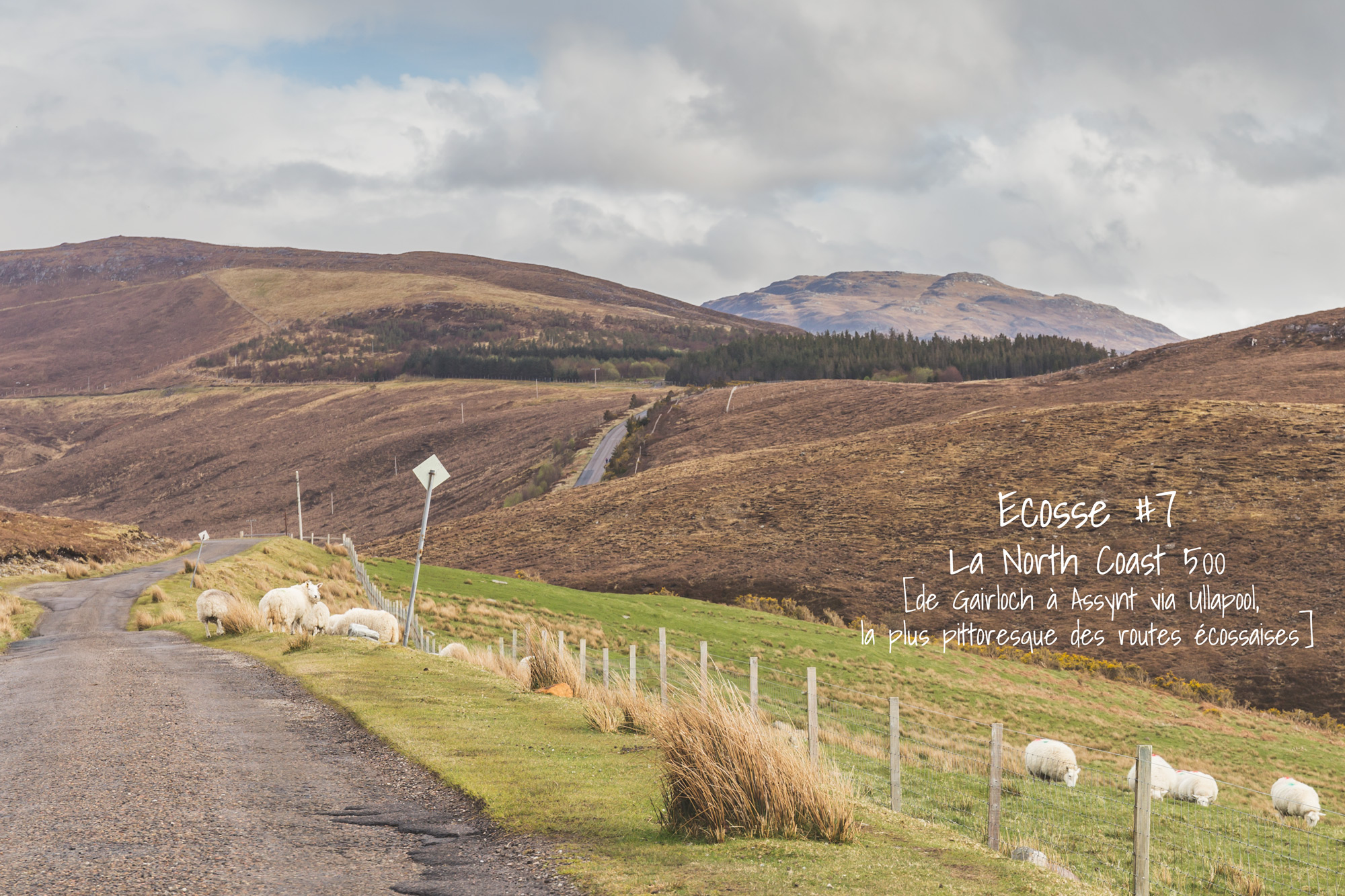 Ecosse #7 NC500 [Gairloch, Ullapool, Assynt]