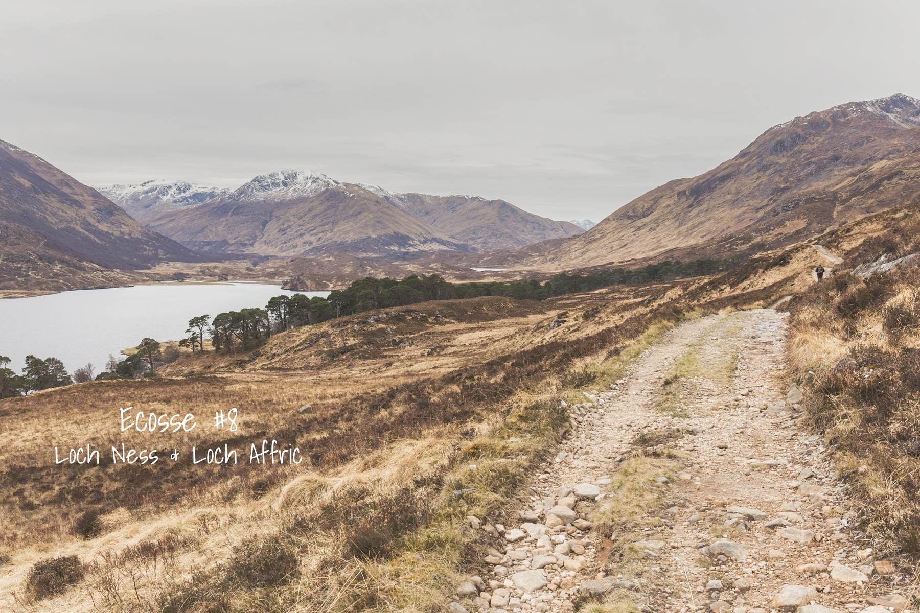 Ecosse #8 Loch Ness & Loch Affric