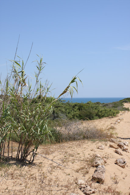 Réserve naturelle de Vendicari