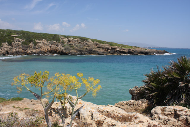 Réserve naturelle de Vendicari