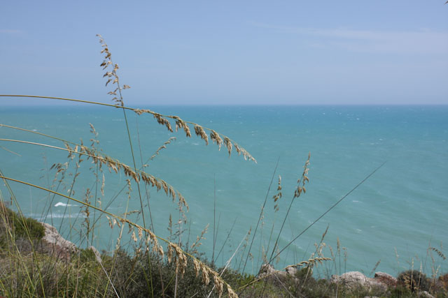 Réserve naturelle de Torre de Salsa