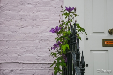 Promenade dans Notting Hill et Portobello Road