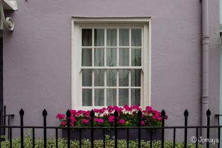 Promenade dans Notting Hill et Portobello Road