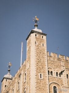 Visite de la Tour de Londres et Tower Bridge