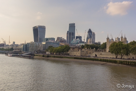 Visite de la Tour de Londres et Tower Bridge