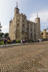 Visite de la Tour de Londres et Tower Bridge