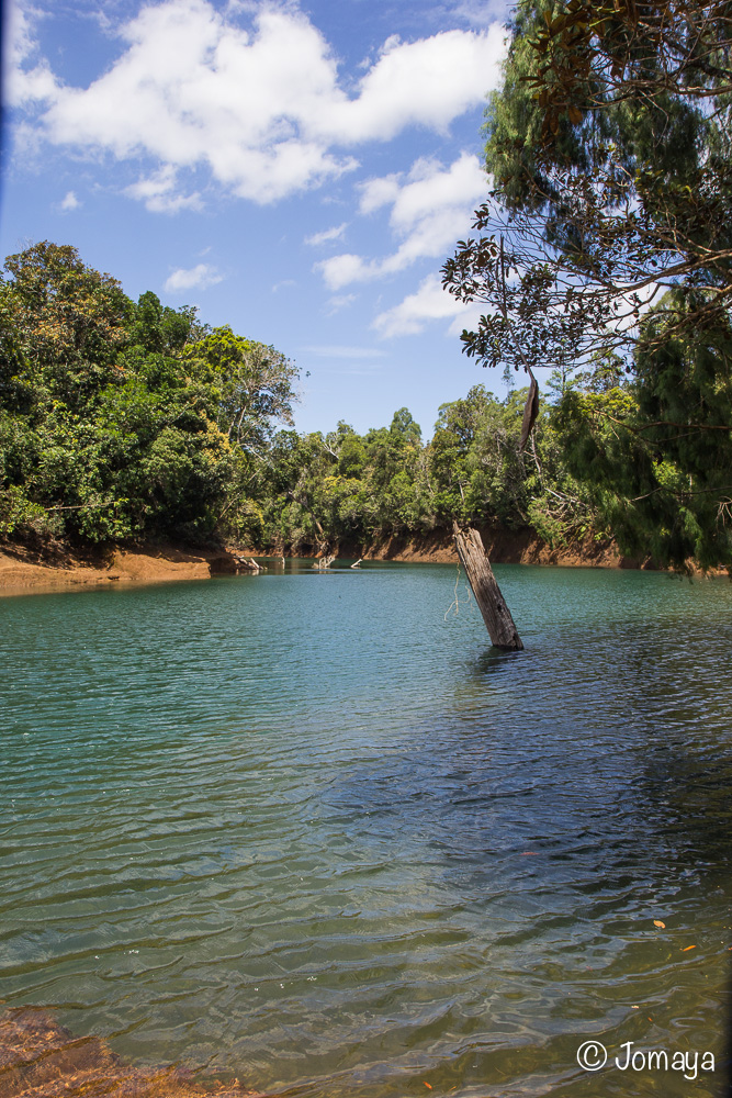 Parc de la rivière bleue - Sud - Nouvelle Calédonie